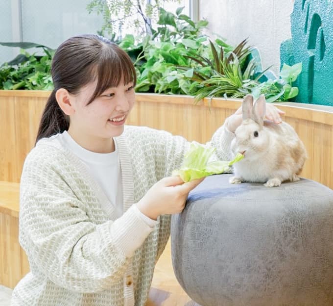 クラブ活動＆同好会