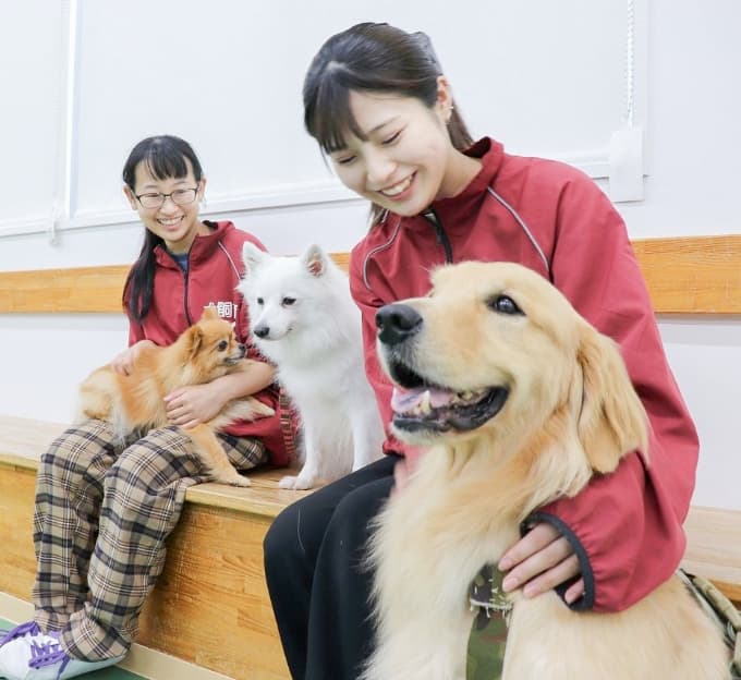 クラブ活動＆同好会